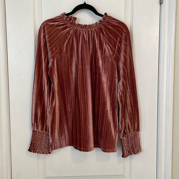 Velour blouse - Picture 1 of 3